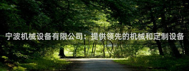 J9九游会老网站