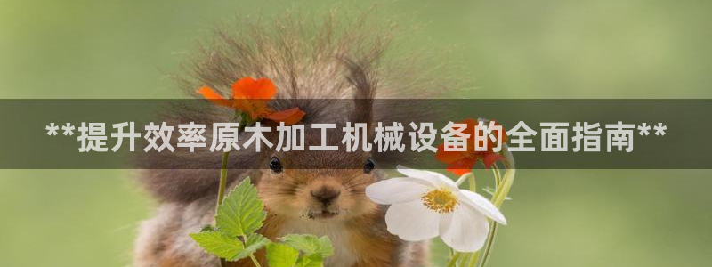 九游会游戏客服