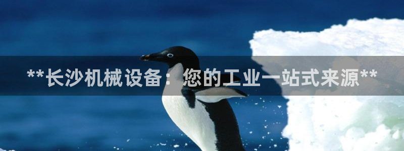 九游会ag亚洲