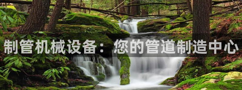 J9九游会app