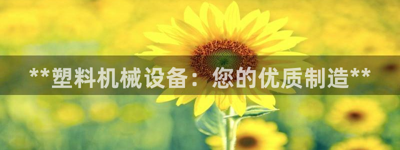 九游会官网网址是多少
