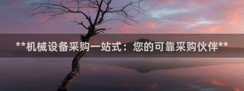j9九游会ag私享