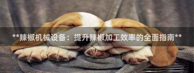 九游会是大平台吗