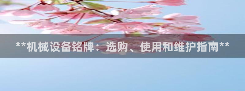 j9九游会永久域名