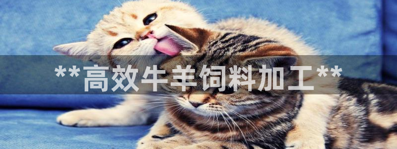 j9九游会不给提款