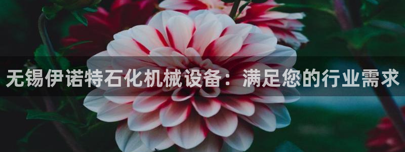 J9九游会俱乐部