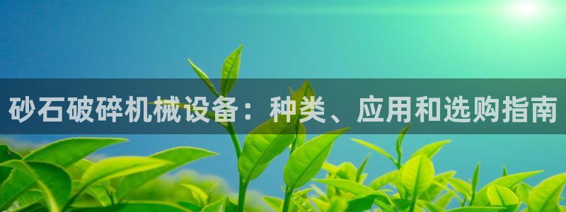 j9九游会老哥俱乐部官网