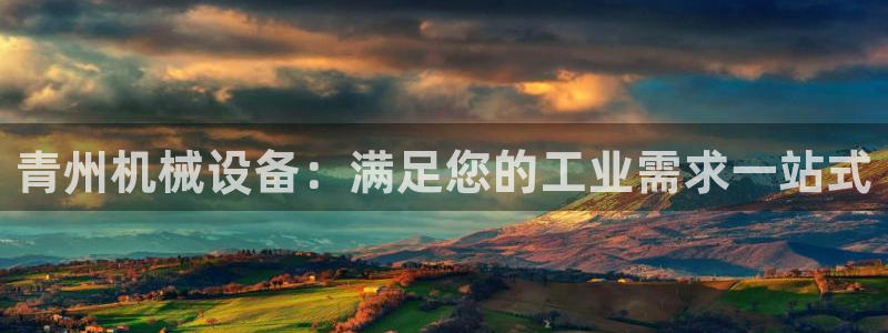 ag九游会老哥