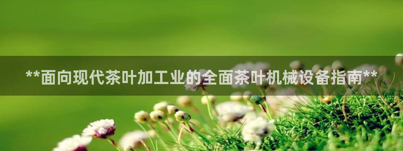九游j9打不开