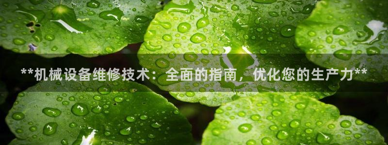 ag改名九游会