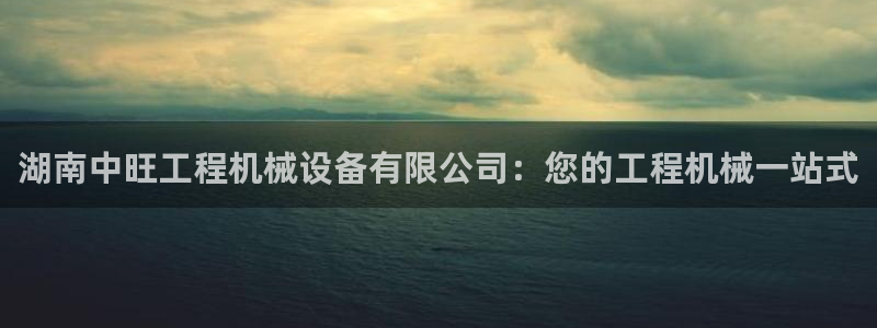ag九游会app下载版官网正版