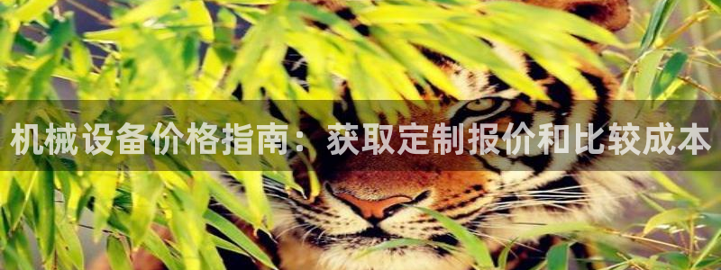 j9九游会app下载