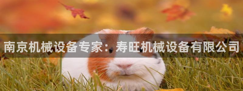 J9九游会登录入口首页旧版
