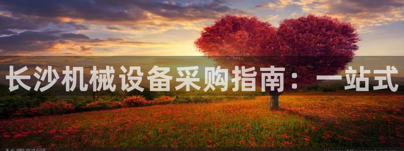 ag久游