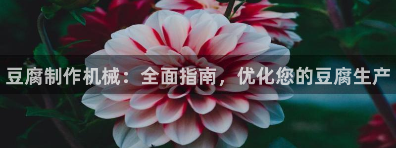 J9九游会俱乐部