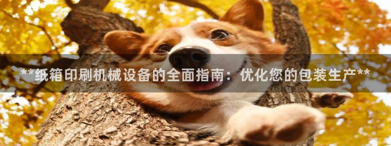 九游会官网登录中心官网
