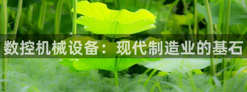 九游会在线官方下载吗