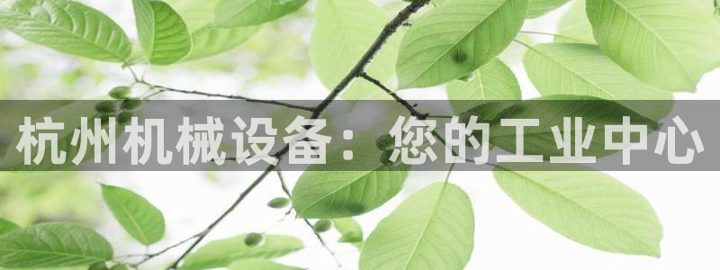 九游会官网j9j9
