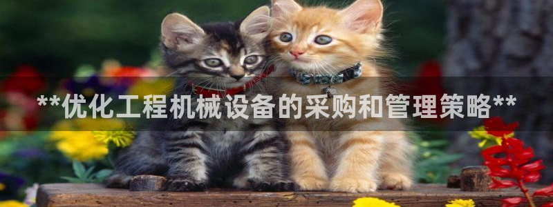 九游会官网登录网址