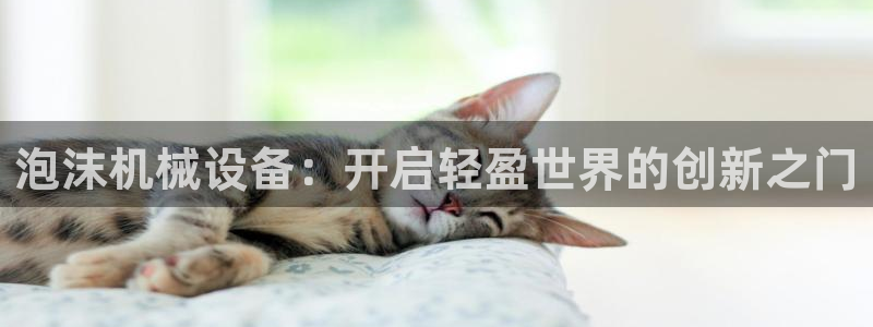 J9九游会app