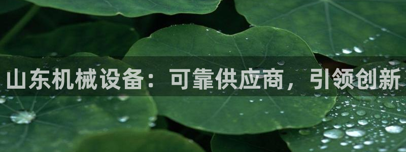j9九游登陆