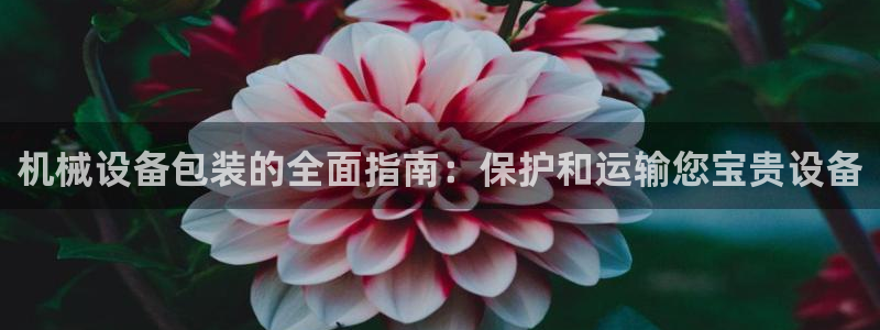 j9九游会注册