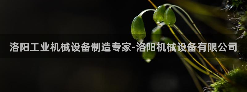 九游会网址是什么情况