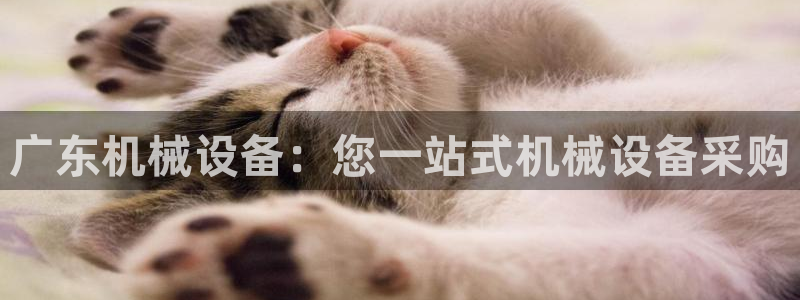 j9九游会如何充值