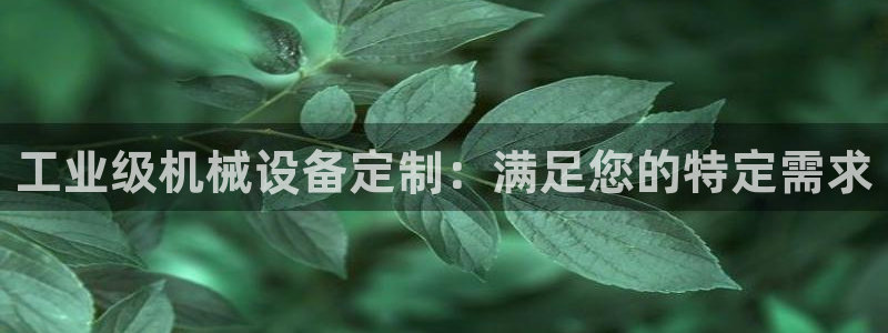 j9九游会老哥俱乐部成员