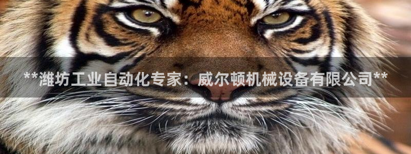 九游会官网真人认证吗