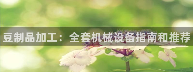 九游j9会