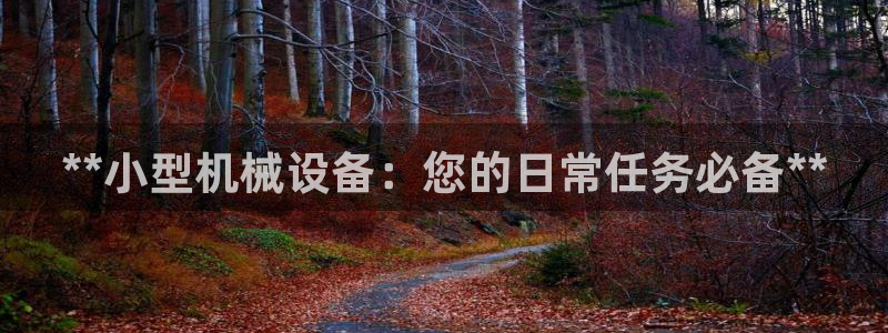 九游会是干嘛的软件