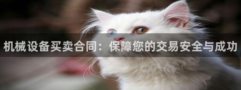 九游会是真的吗