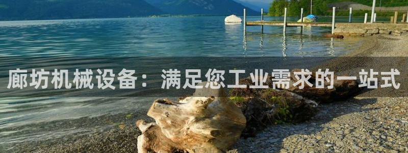 九游会是什么组织