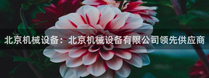 J9九游会是干嘛的