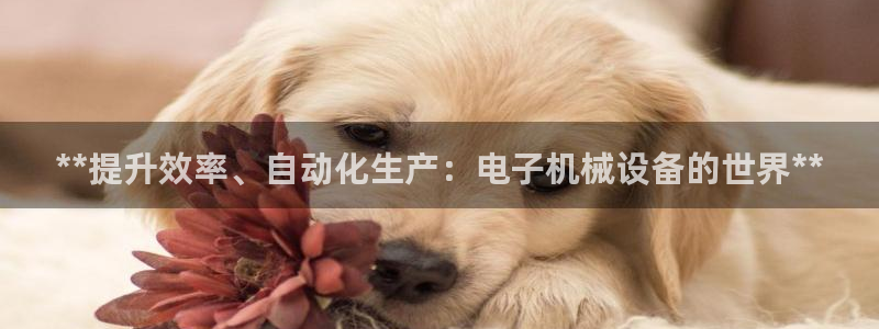 九游会怎么提币