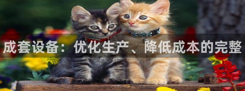 九游会可以提现吗
