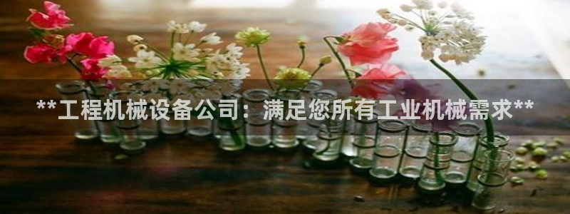 九游会游戏网址