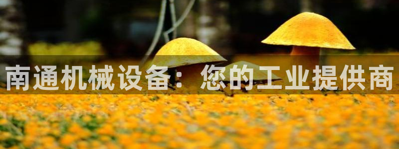 九游会官网老哥俱乐部