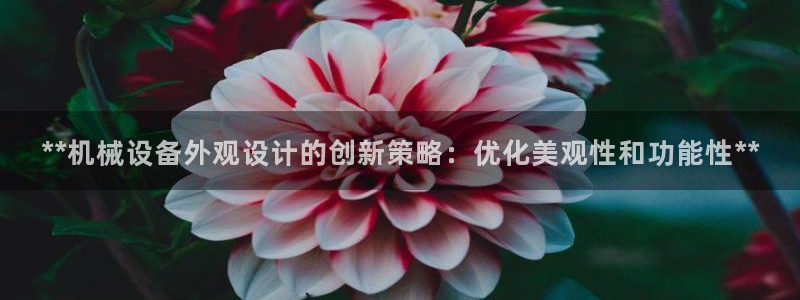 九游会ag私享