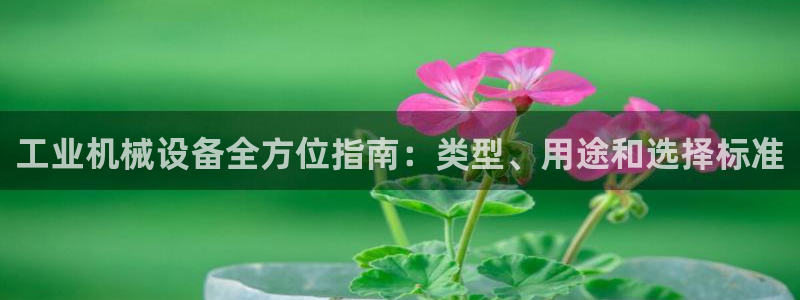 j9九游会app下载