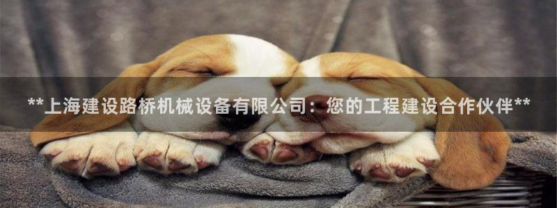 九游会官方下载