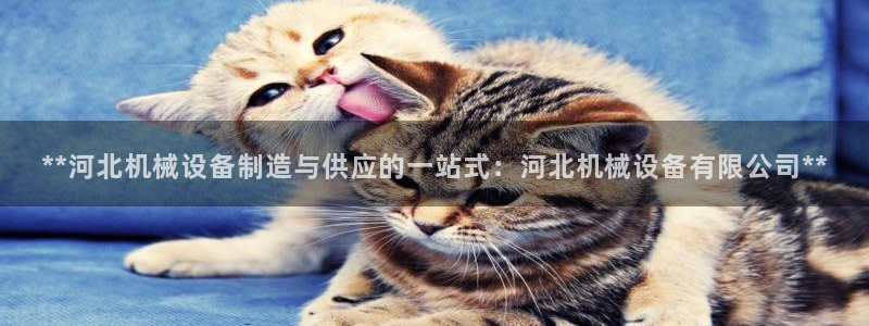 九游会手机登入