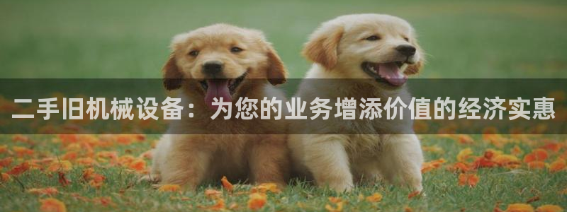 九游会ag官方网站在哪