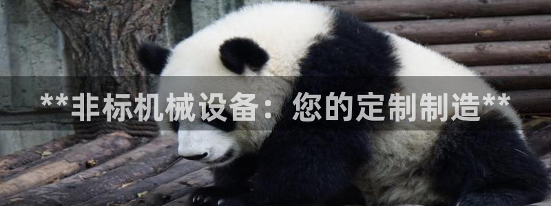 九游会j9官网登陆