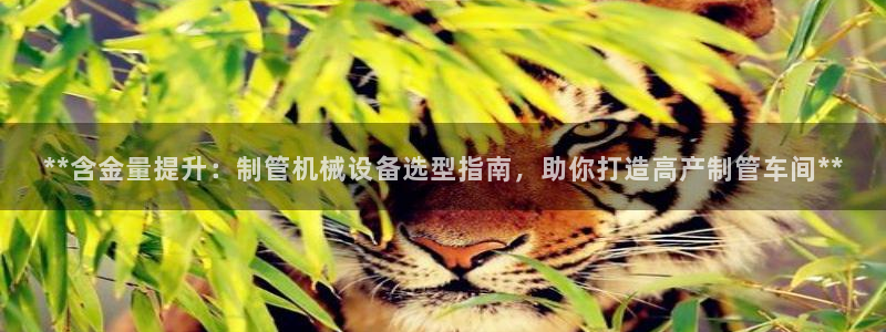 九游会官网入口首页