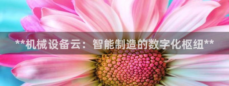 九游会官网站