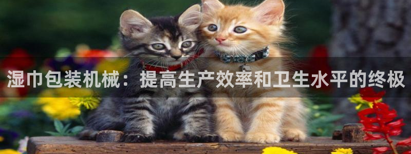 九游会官网下载最新版