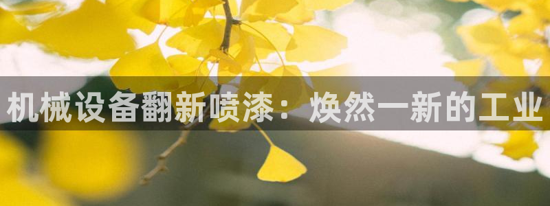 九游会ag网址大全专业版