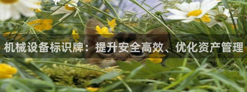 ag8九游会